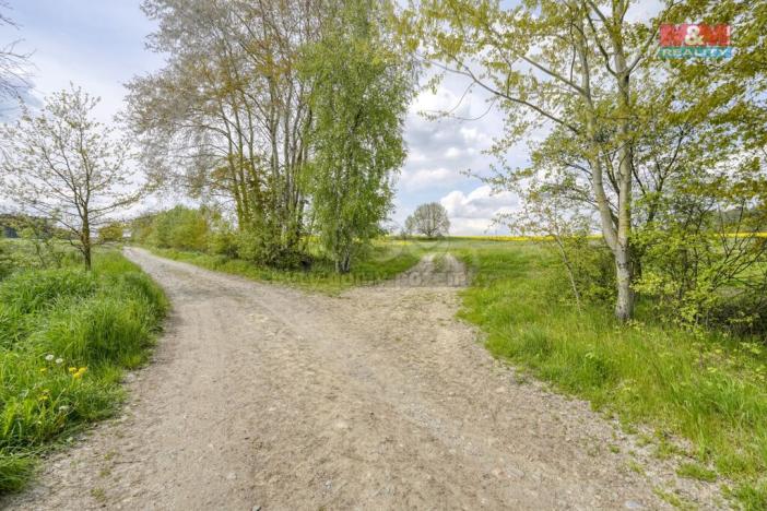 Prodej zemědělské půdy, Ostrov u Bezdružic - Pláň, 6672 m2