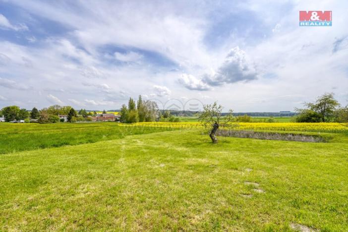 Prodej zemědělské půdy, Ostrov u Bezdružic - Pláň, 6672 m2