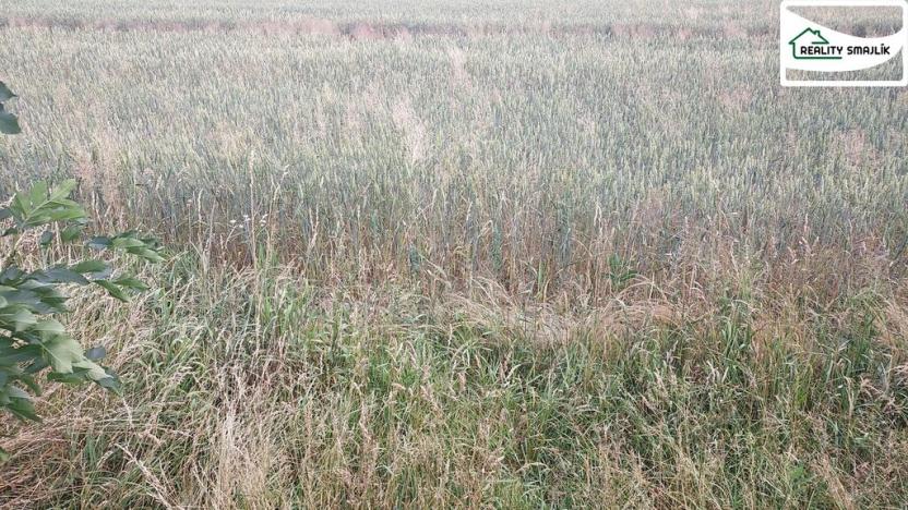 Prodej zemědělské půdy, Maňovice, Maňovice, 99724 m2