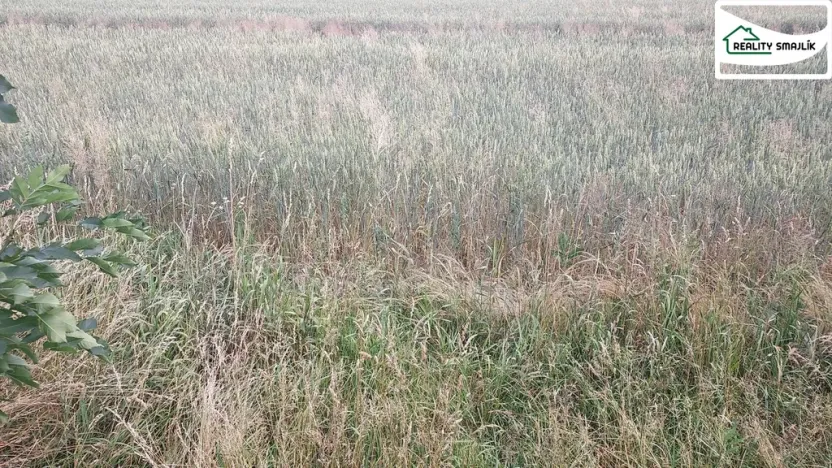 Prodej zemědělské půdy, Maňovice, Maňovice, 99724 m2