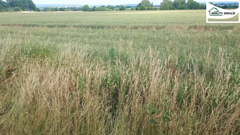 Prodej zemědělské půdy, Maňovice, Maňovice, 99724 m2