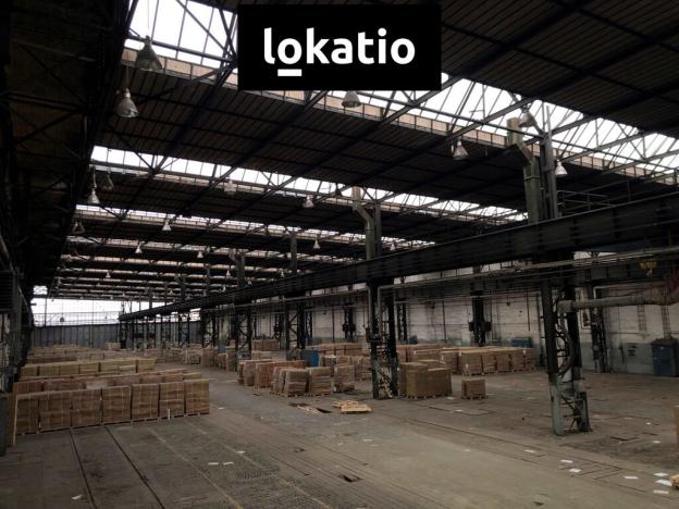 Pronájem výrobních prostor, Studénka, 5500 m2