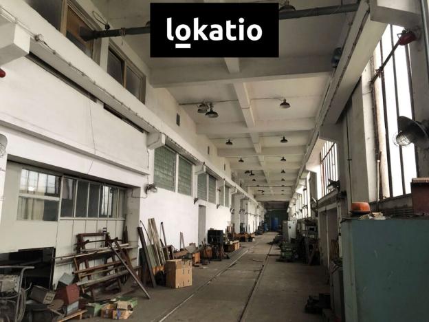 Pronájem výrobních prostor, Studénka, 5500 m2