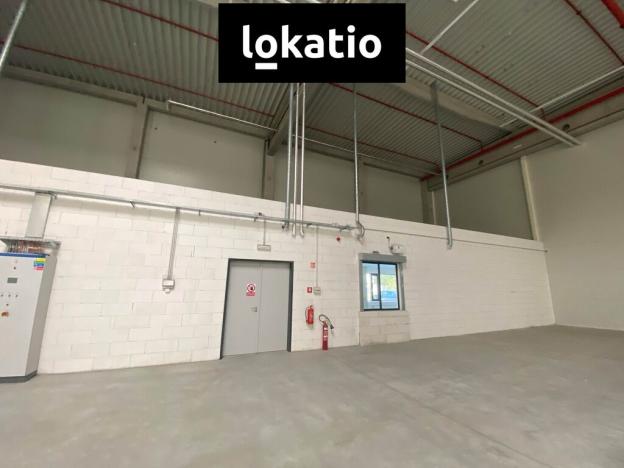 Pronájem skladu, Ostrava, 1589 m2