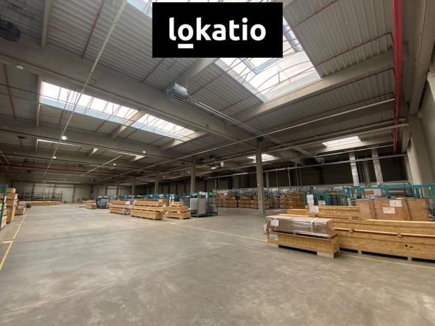 Pronájem skladu, Ostrava, 4734 m2