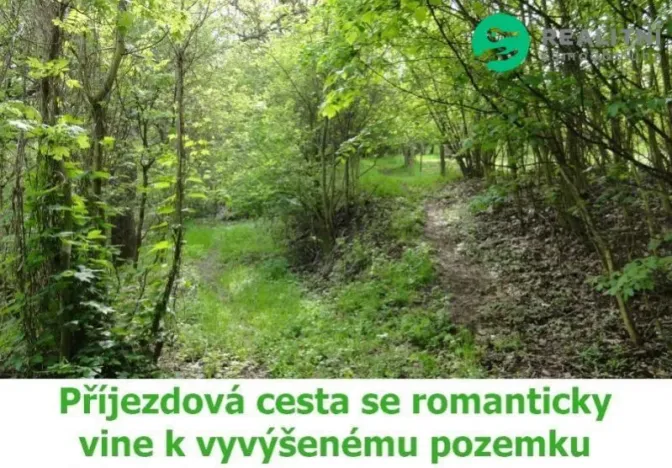 Prodej pozemku pro bydlení, Ústí nad Labem, 4474 m2