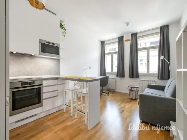 Pronájem bytu 1+kk, Praha - Vinohrady, Záhřebská, 28 m2