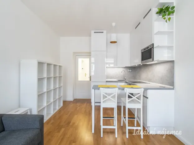 Pronájem bytu 1+kk, Praha - Vinohrady, Záhřebská, 28 m2