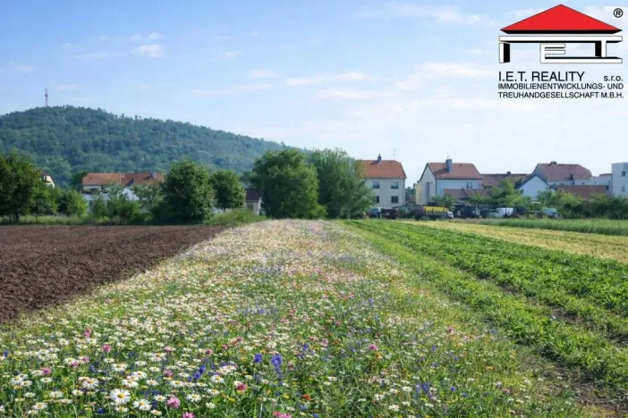 Prodej pozemku pro bydlení, Drásov, 2635 m2