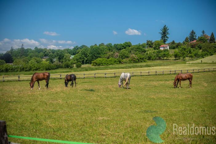 Prodej pozemku pro bydlení, Hradec Králové, 6111 m2