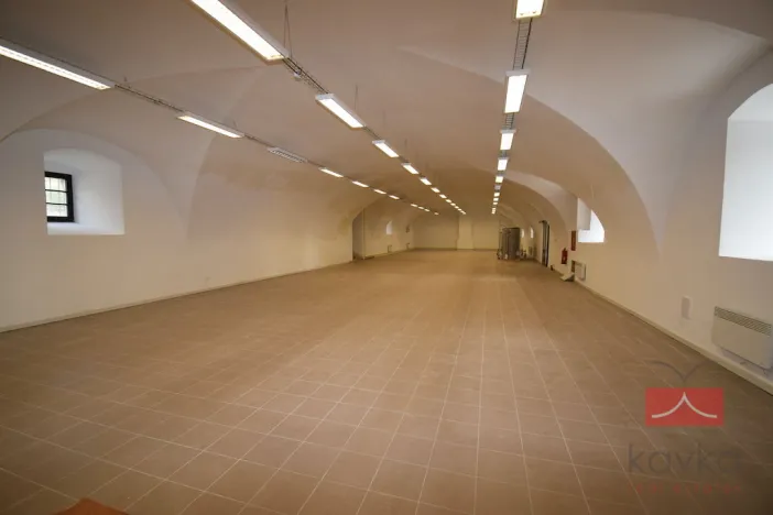 Pronájem komerční nemovitosti, Pacov, nám. Svobody, 442 m2