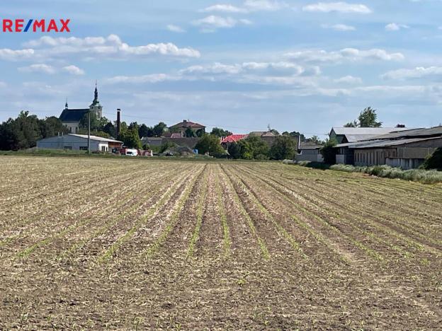 Prodej zemědělské půdy, Dolany, 5000 m2