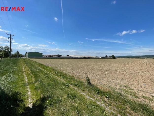 Prodej zemědělské půdy, Dolany, 5000 m2