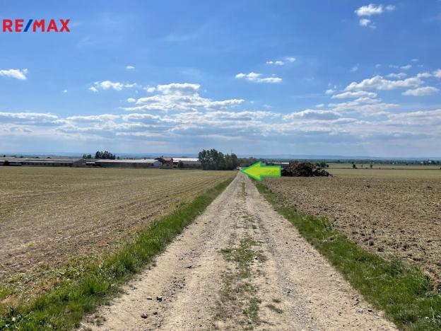 Prodej zemědělské půdy, Dolany, 5206 m2