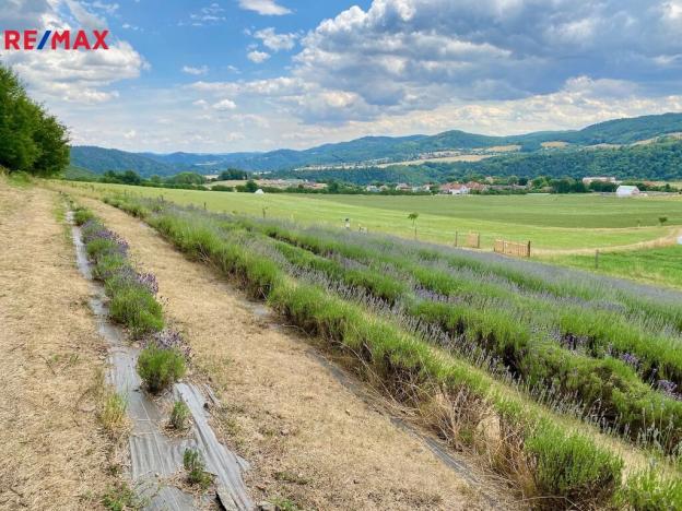 Prodej rodinného domu, Nezabudice, 410 m2