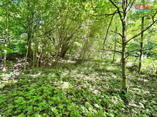 Prodej zahrady, Chřibská, 1281 m2