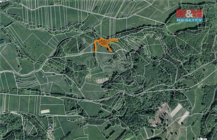 Prodej trvalého travního porostu, Nedašov, 962 m2