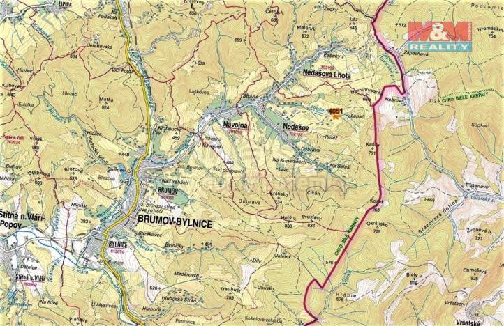 Prodej trvalého travního porostu, Nedašov, 962 m2