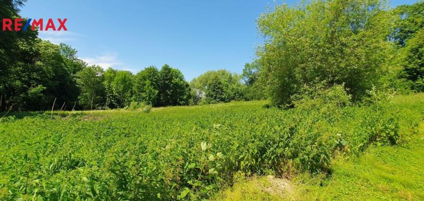 Prodej pozemku pro bydlení, Hukvaldy, 9808 m2