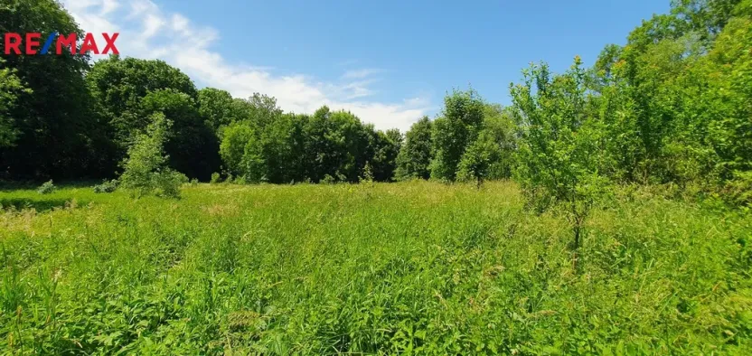 Prodej pozemku pro bydlení, Hukvaldy, 9808 m2