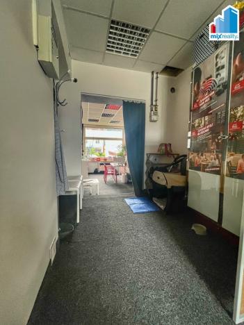 Prodej komerční nemovitosti, Domažlice, Husova třída, 700 m2