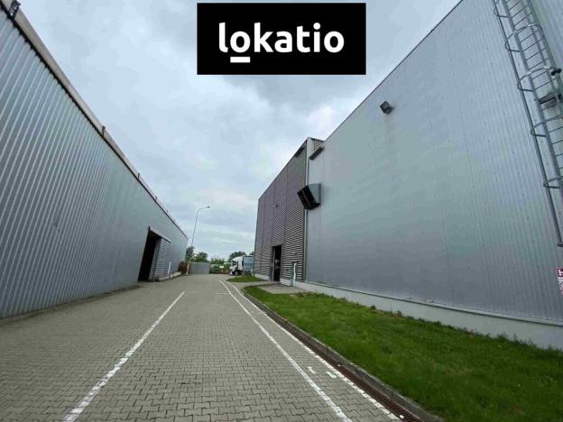 Pronájem skladu, Hodonín, 3600 m2