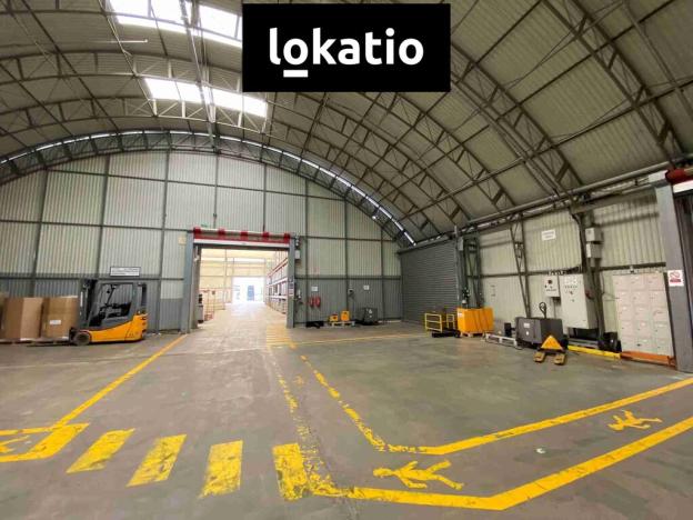 Pronájem výrobních prostor, Hodonín, 7500 m2