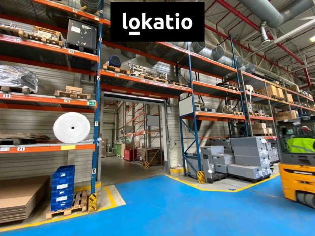 Pronájem výrobních prostor, Hodonín, 7500 m2