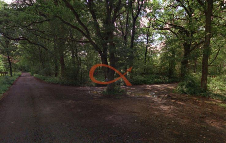 Prodej lesa, Mýto, 9315 m2