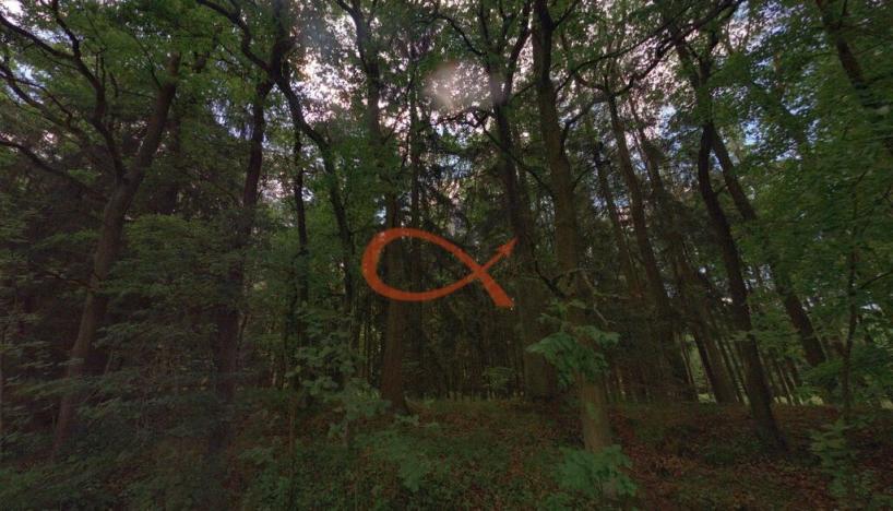 Prodej lesa, Mýto, 9315 m2