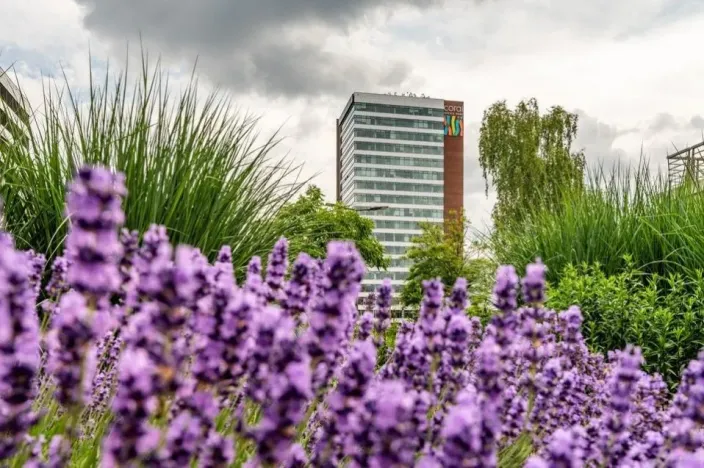 Pronájem kanceláře, Praha - Stodůlky, Bucharova, 280 m2