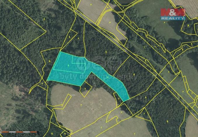 Prodej lesa, Horní Studénky, 12134 m2