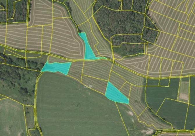 Prodej trvalého travního porostu, Budětice, 28478 m2