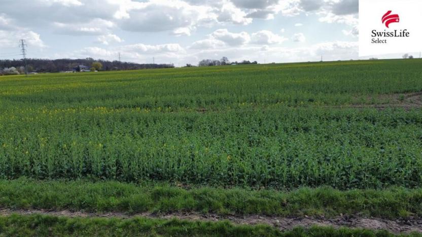 Prodej zemědělské půdy, Praha - Michle, 36799 m2