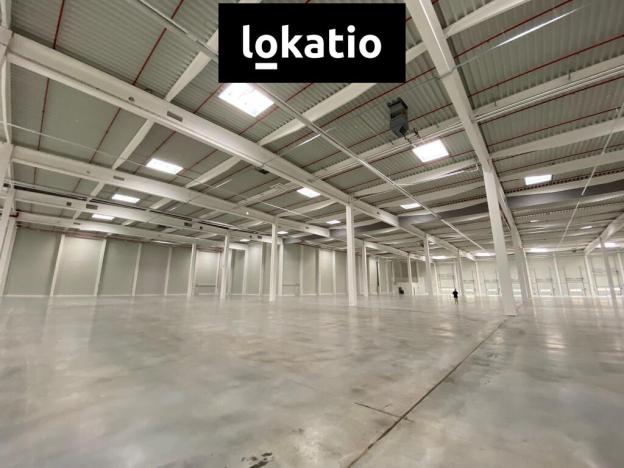 Pronájem skladu, Ostrava - Vítkovice, 4323 m2