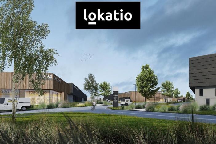 Pronájem skladu, Ostrava - Vítkovice, 4323 m2