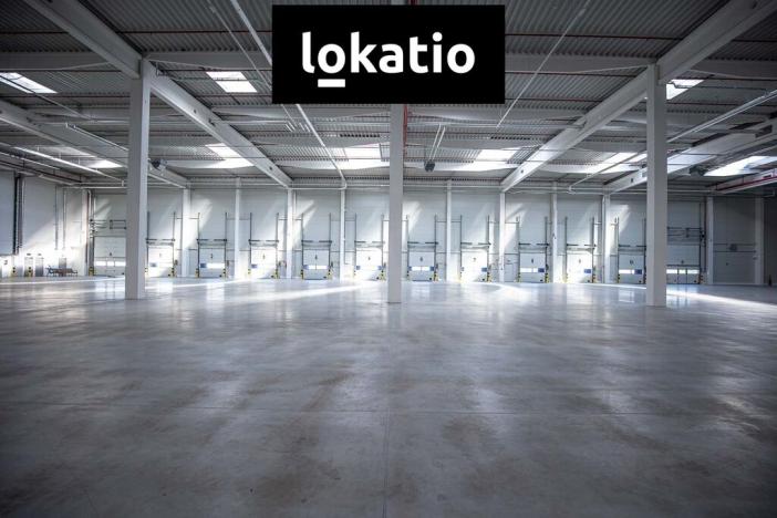 Pronájem skladu, Ostrava - Vítkovice, 14255 m2
