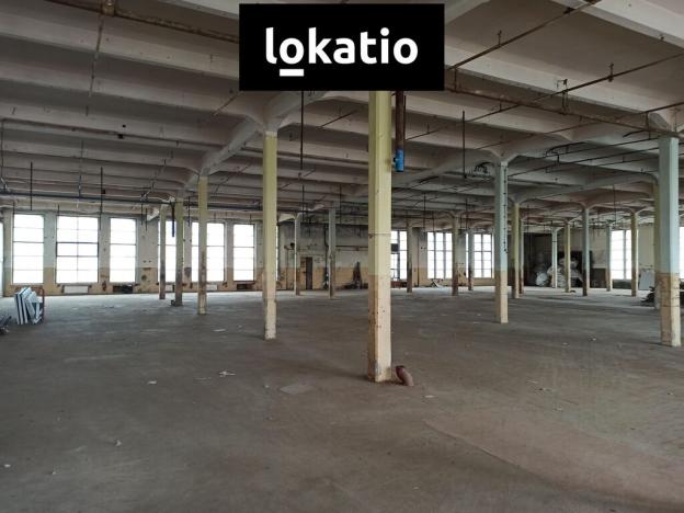 Pronájem skladu, Děčín, Březová, 1583 m2