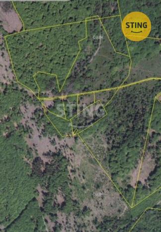 Prodej trvalého travního porostu, Košařiska, 6262 m2