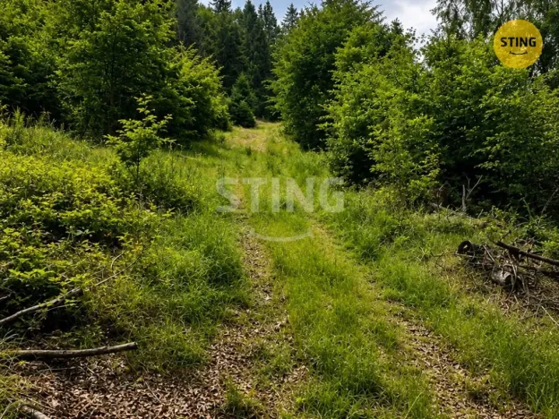 Prodej louky, Košařiska, 6262 m2
