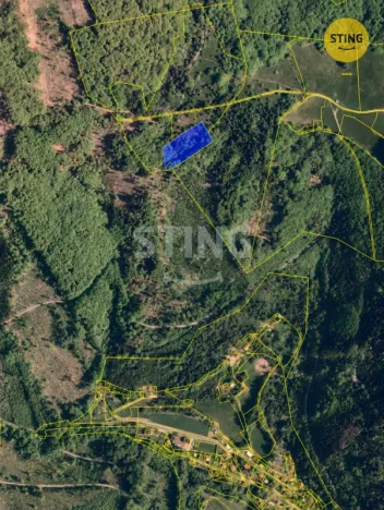 Prodej louky, Košařiska, 6262 m2