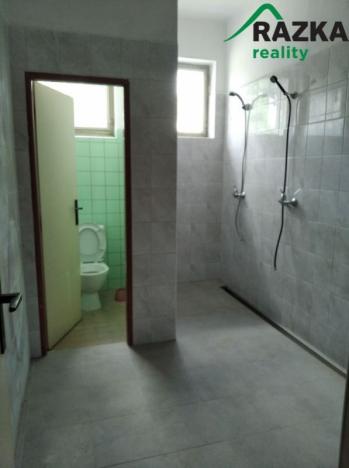 Prodej komerční nemovitosti, Horažďovice, Velké Hydčice, 790 m2