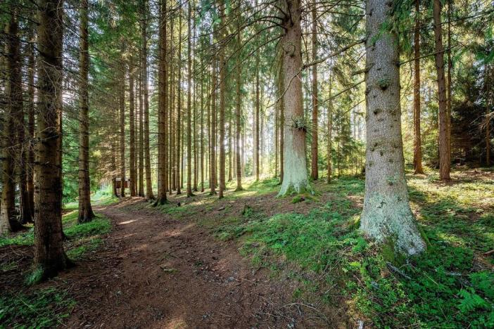 Prodej rodinného domu, Frymburk, 136 m2