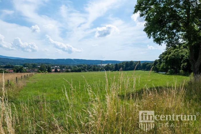 Prodej trvalého travního porostu, Jindřichovice pod Smrkem, 53774 m2