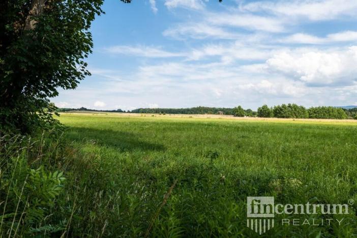 Prodej trvalého travního porostu, Jindřichovice pod Smrkem, 53774 m2