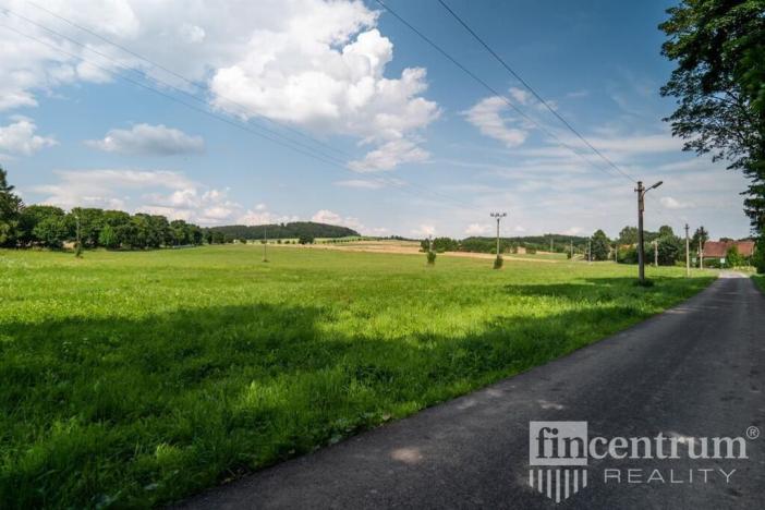 Prodej trvalého travního porostu, Jindřichovice pod Smrkem, 53774 m2