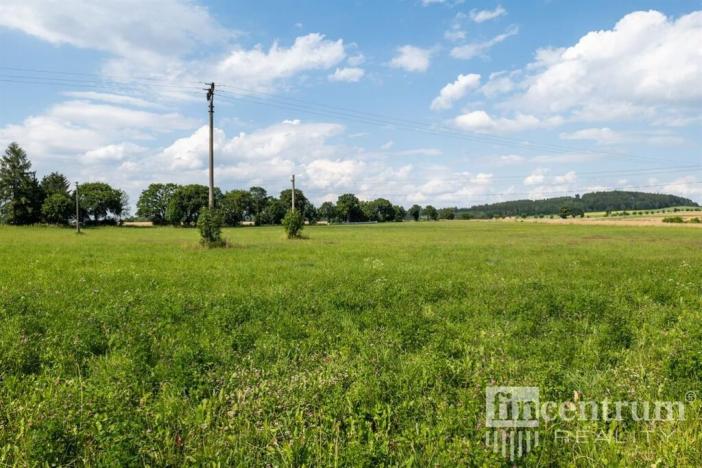 Prodej trvalého travního porostu, Jindřichovice pod Smrkem, 53774 m2