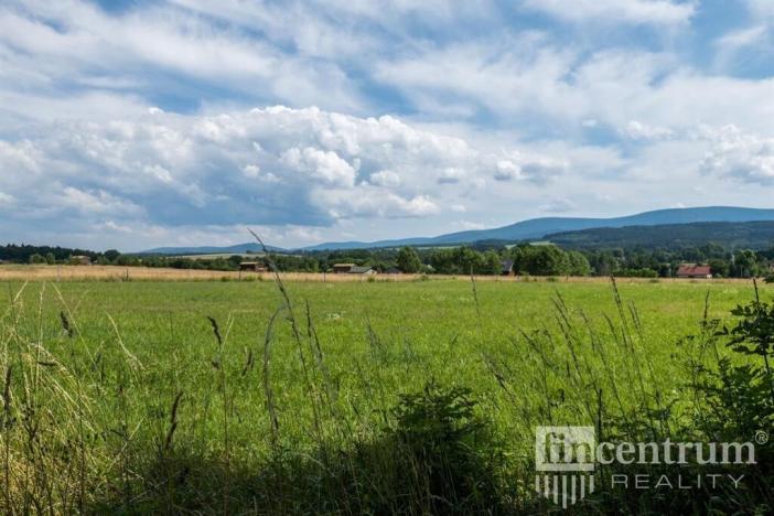 Prodej trvalého travního porostu, Jindřichovice pod Smrkem, 53774 m2