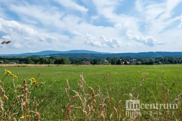 Prodej trvalého travního porostu, Jindřichovice pod Smrkem, 53774 m2