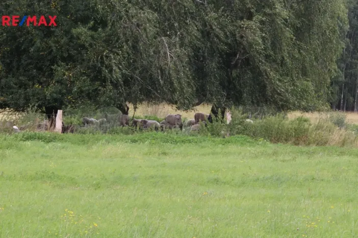 Prodej pozemku pro bydlení, Pertoltice, 4488 m2